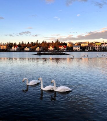 🦆 Serenity in the Heart of Reykjavík: A Complete Guide to Lake Tjörnin — and Why Hótel Reykjavík Saga Is Your Perfect Urban Oasis